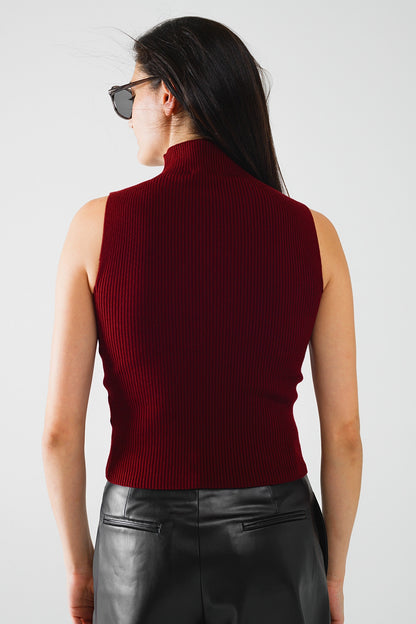 Camisola com nervuras e pescoço de tartaruga em Borgonha