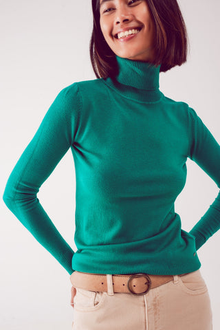 Fine knit high neck jumper in green