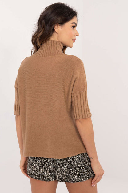 BFG brown short sleeve turtle neck sweater with ribbed sleeves worn by model from back