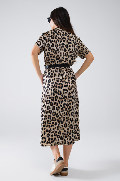 Vestido midi de manga curta com camisa e cinto em estampado leopardo